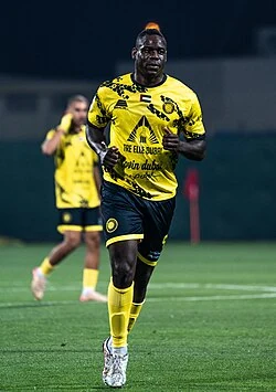 Portrait of Mario Balotelli