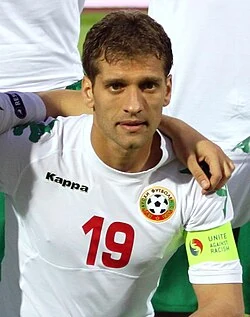 Portrait of Stiliyan Petrov