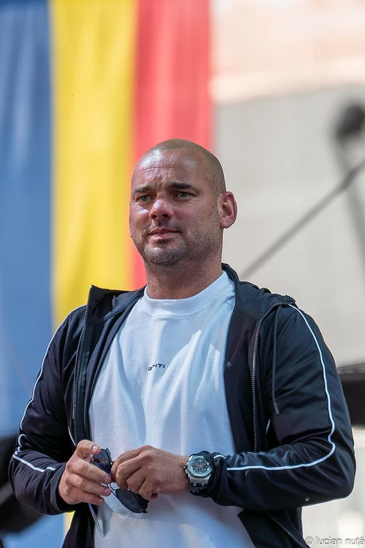 Portrait of Wesley Sneijder